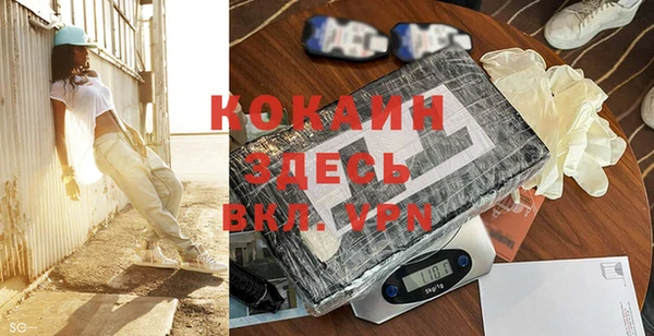 винт Богданович