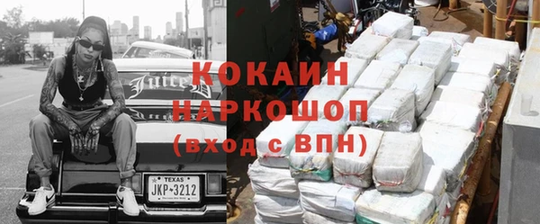 винт Богданович