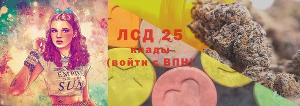соль ск Богородицк