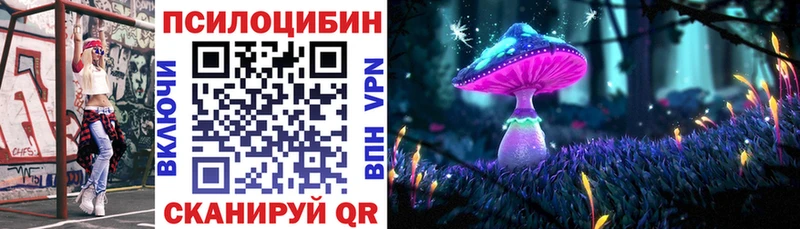 сколько стоит  Новохопёрск  Псилоцибиновые грибы Cubensis 